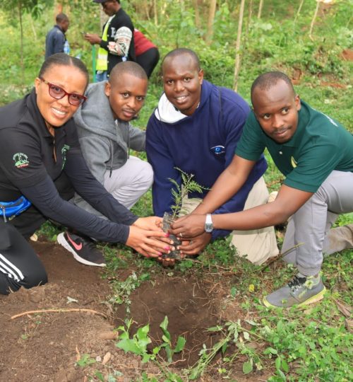 another tree planting
