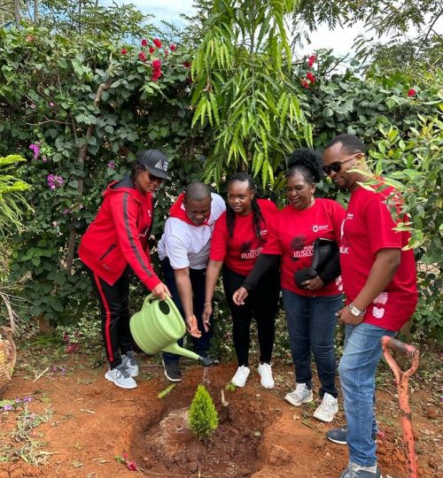 water after planting